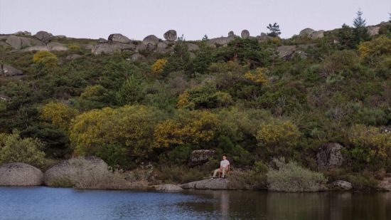 A dança dos mosquitos