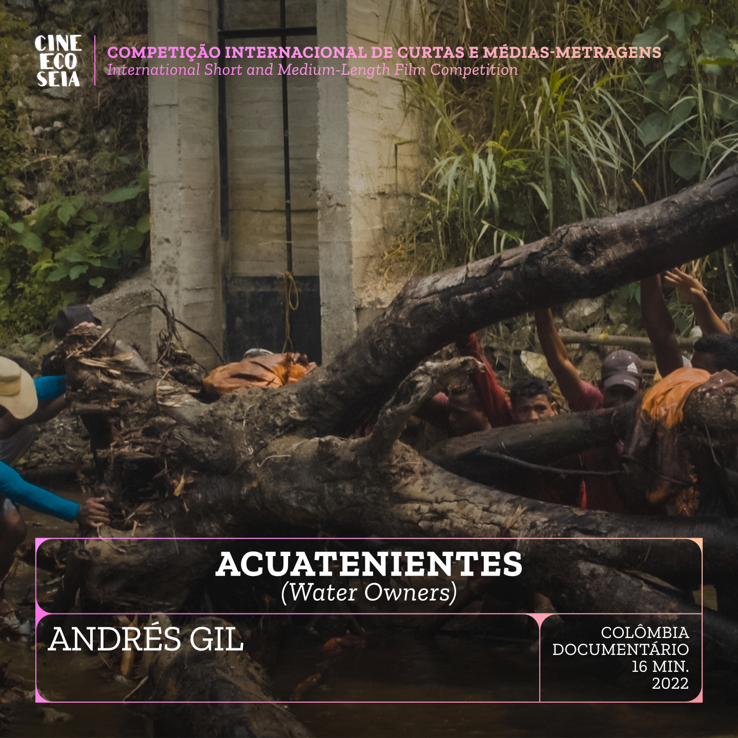 Acuatenientes (Water Owners)